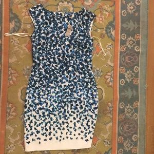 Ann Taylor dress